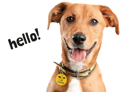 Support for a New Rescue